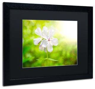 PIPA Fine Art 'Beauty of the Forest Floor' Matted Framed Art, 20x16