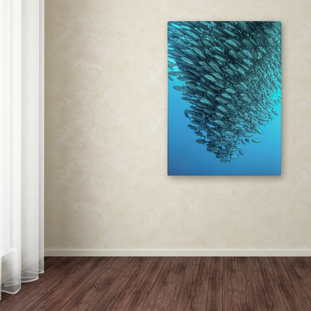 Henry Jager 'Schooling Jackfishes' Canvas Art, 19x14