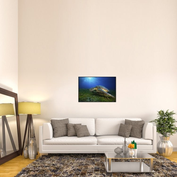 "Green Turtle" Framed Canvas Giclee by Barathieu Gabriel, 37x25"