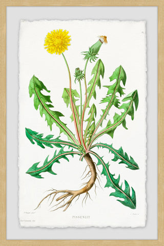 "Yellow Dandelion" Framed Painting Print, 12"x18"