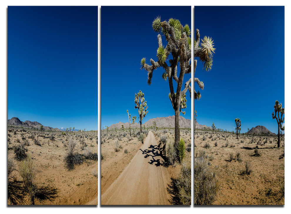 "Sandy Desert Road Panorama" Oversized Metal Wall Art, 3 Panels, 36"x28"