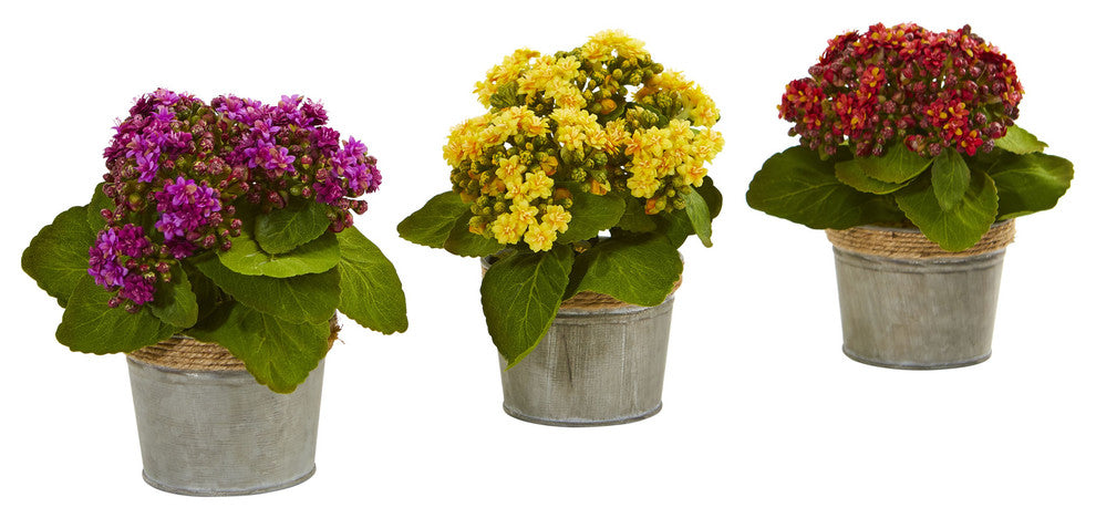 Kalanchoe Artificial Arrangements, 3-Piece Set