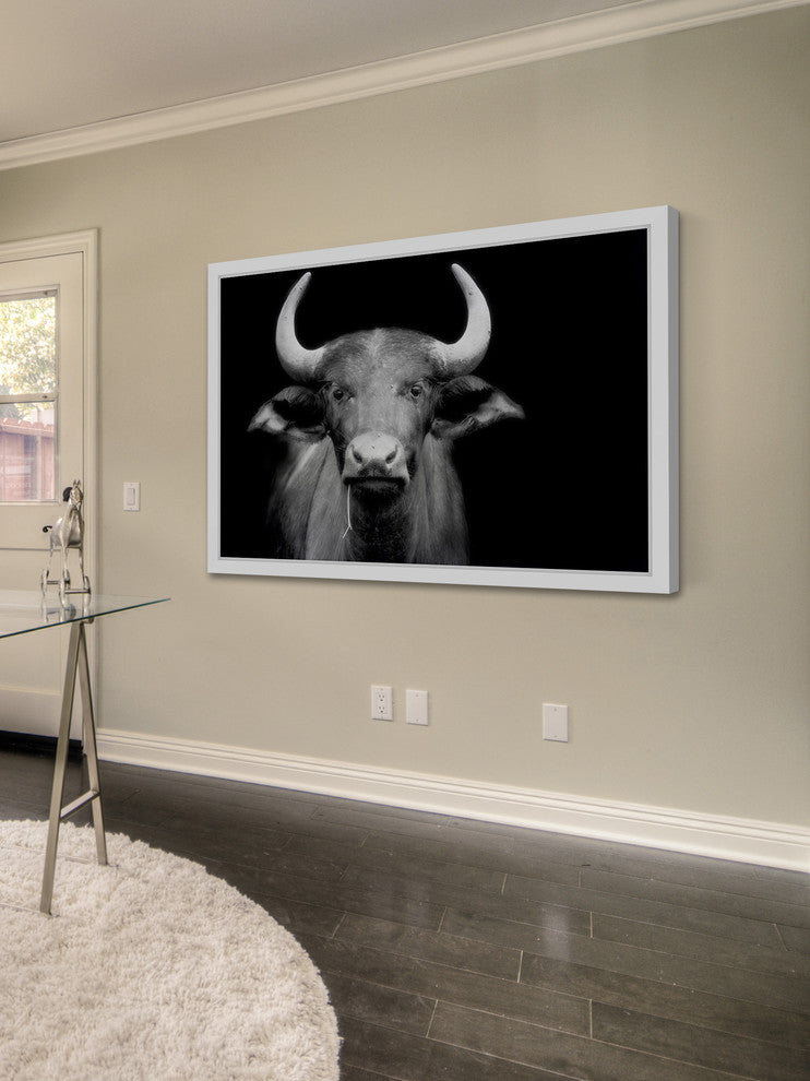 Marmont Hill, "Cow Stare" Framed Painting Print, 45x30