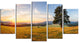"Lonely Tree on Meadow at Sunset" Landscape Photo Wall Art, 5 Panels, 60"x32"