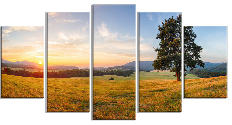 "Lonely Tree on Meadow at Sunset" Landscape Photo Wall Art, 5 Panels, 60"x32"
