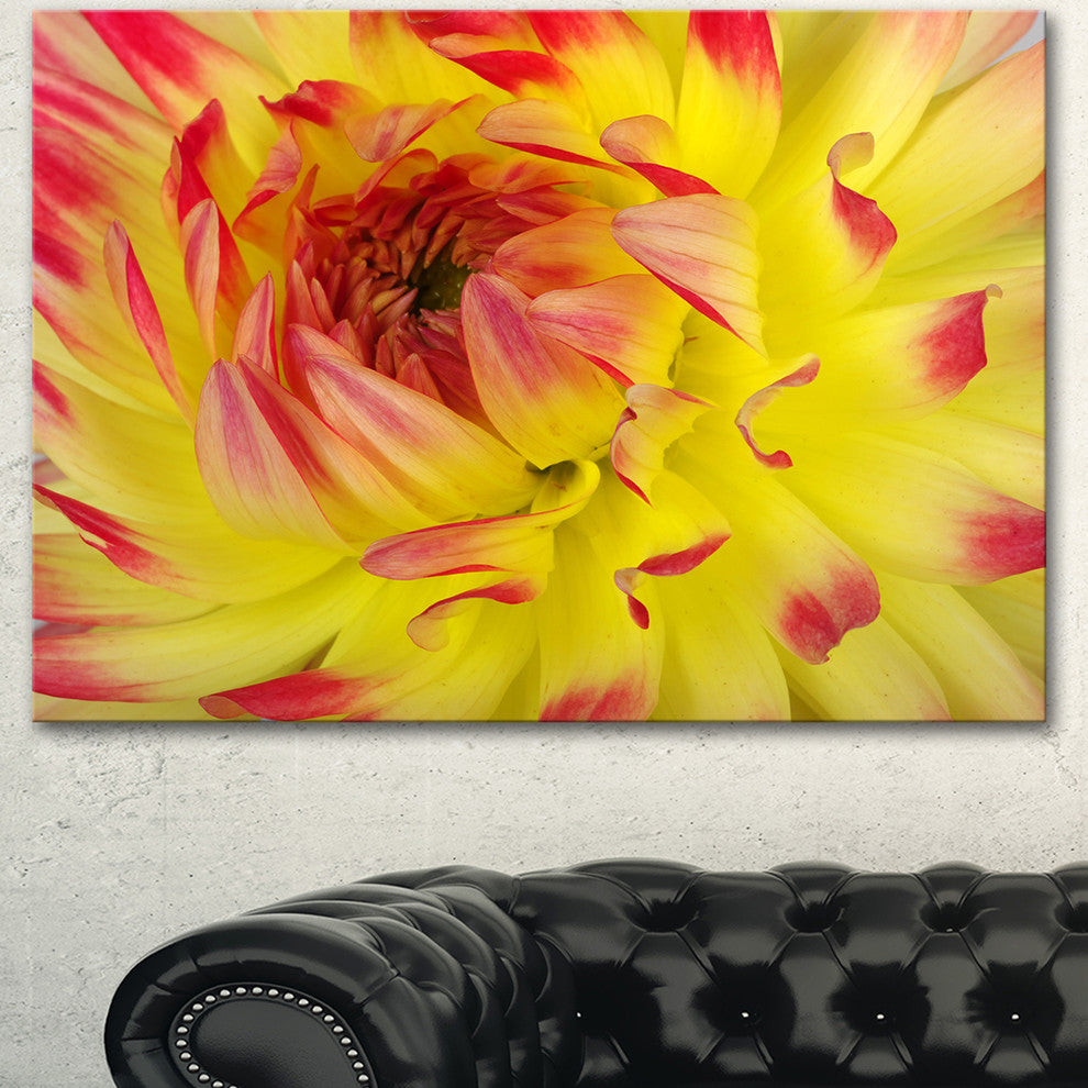 Smooth Yellow Red Flower Petals, Floral Canvas Art Print, 40"x30"