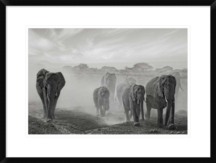 "Sequence Of Emotion" Framed Digital Print by Mathilde Guillemot, 30x22"