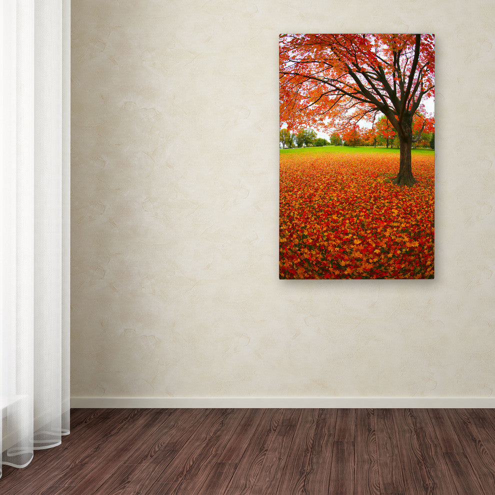 'Autumn Expressions' Canvas Art by CATeyes