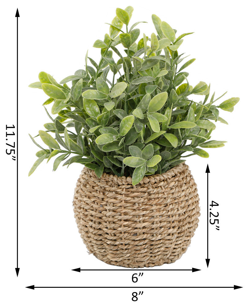 Tealeaf In 6" Basket