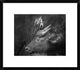 "Three Is A Crowd!" Framed Digital Print by Ali Khataw, 22x19"