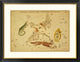 "Lacerta, Cygnus, Lyra, Vulpecula and Anser, 1825"  by Jehoshaphat Aspin, 40x30"