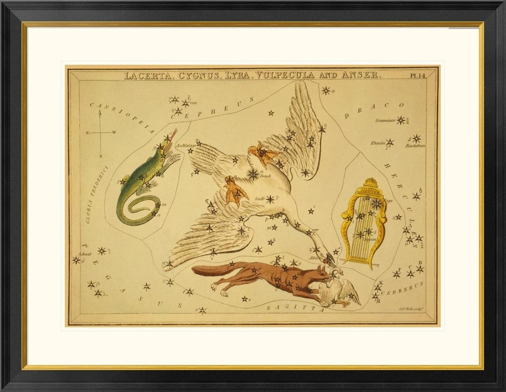 "Lacerta, Cygnus, Lyra, Vulpecula and Anser, 1825"  by Jehoshaphat Aspin, 40x30"