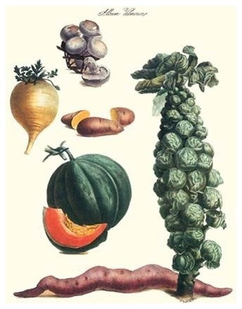 Vegetables; Brussel Sprouts, Yam, Potato, Sweet, Cantelope, Melon, Mushroom