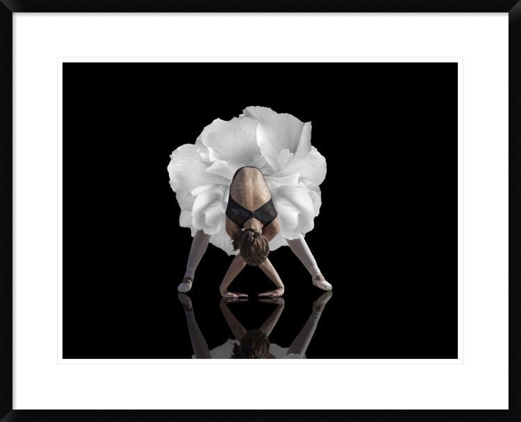 "Dance" Framed Digital Print by Natalia Baras, 32x26"
