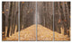 Yellow Road through Fall Forest, Modern Forest Canvas Art, 48"x28", 4 Panels