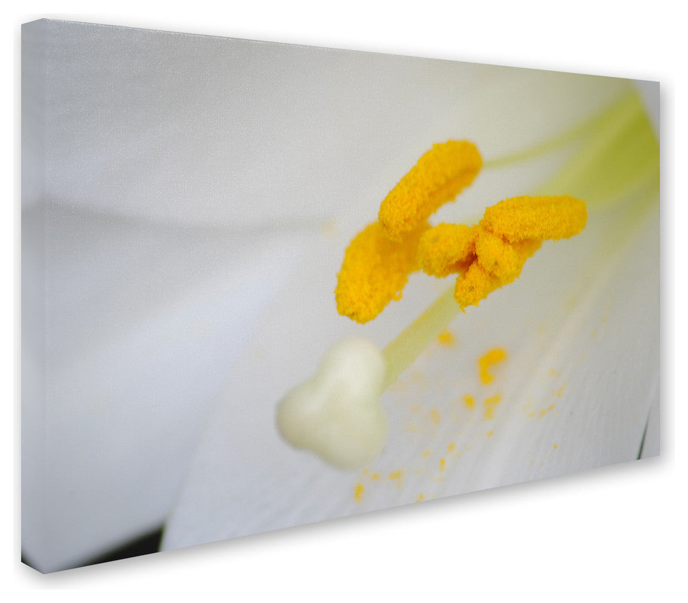 ''Lucky Lasting'' Canvas Art by Monica Mize
