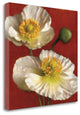 "Poppy Elegance I" By Janel Pahl, Giclee Print on Gallery Wrap Canvas