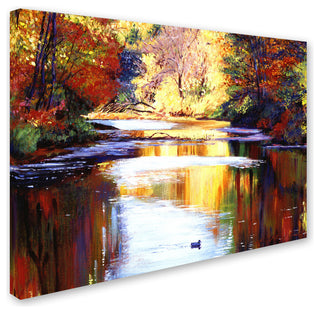 'Reflections of August' Canvas Art by David Lloyd Glover