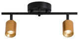 VidaLite Shura 2 Head LED Track Light, Brass And Black