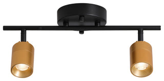 VidaLite Shura 2 Head LED Track Light, Brass And Black