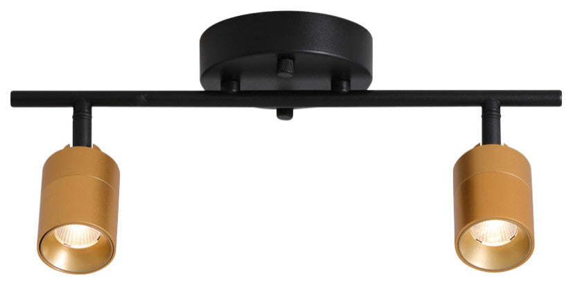 VidaLite Shura 2 Head LED Track Light, Brass And Black