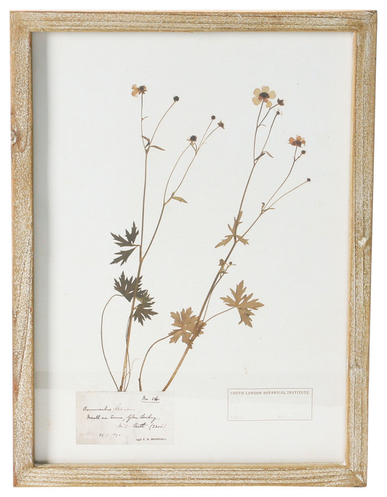 Wood Framed Wall Decor with Botanicals, 6 Styles