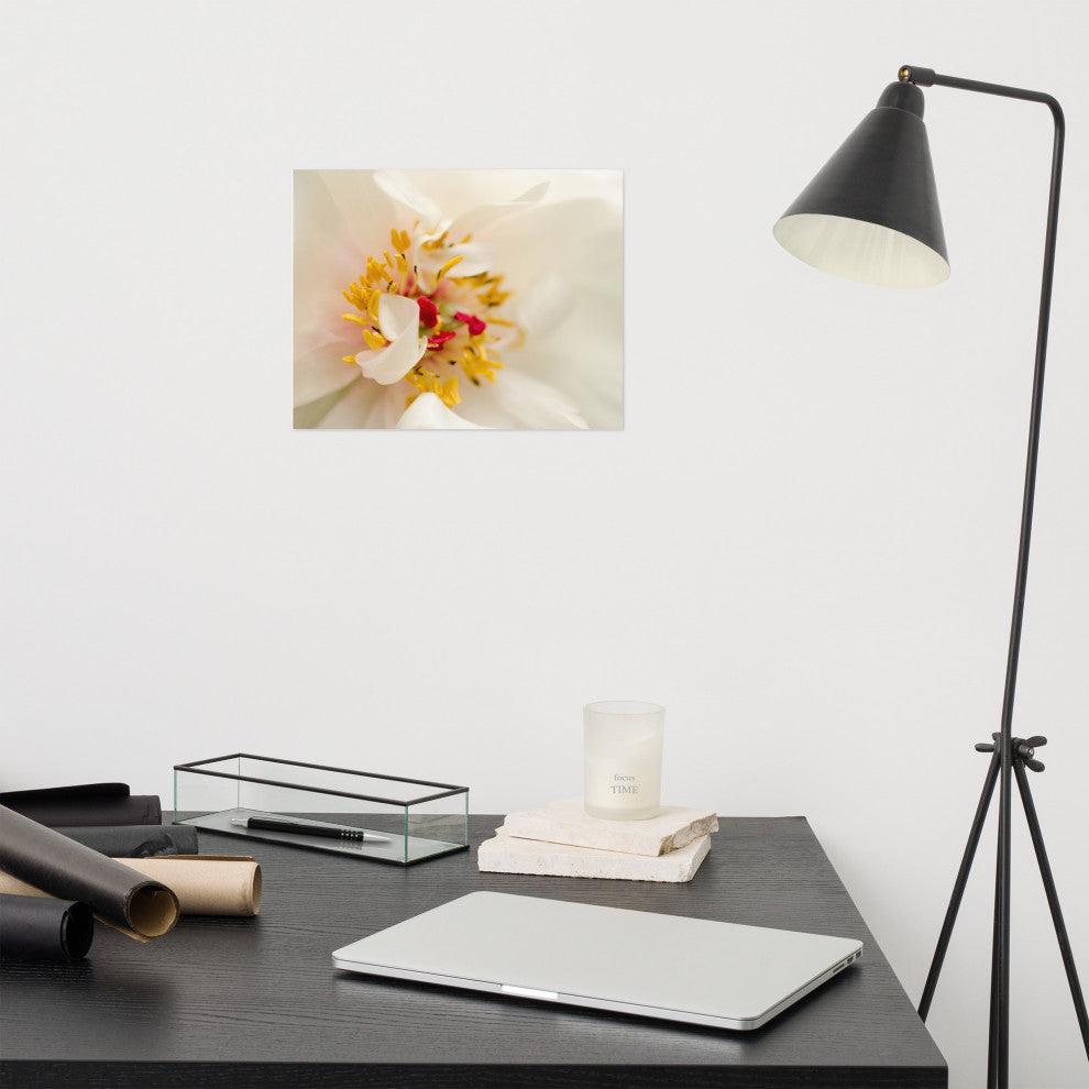 Eye of Peony Nature Photography, Floral Unframed Wall Art Print, 11" X 14"