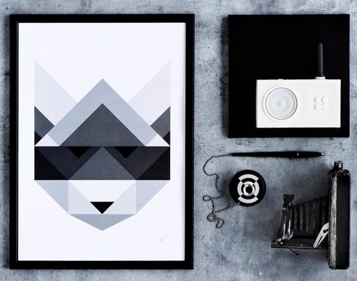 Poster Raccoon