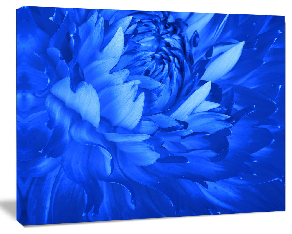 Bright Blue Flower Petals, Floral Canvas Art Print, 40"x30"