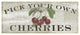 "Farm Fresh Cherries" Digital Paper Print by Sue Schlabach, 42"x18"