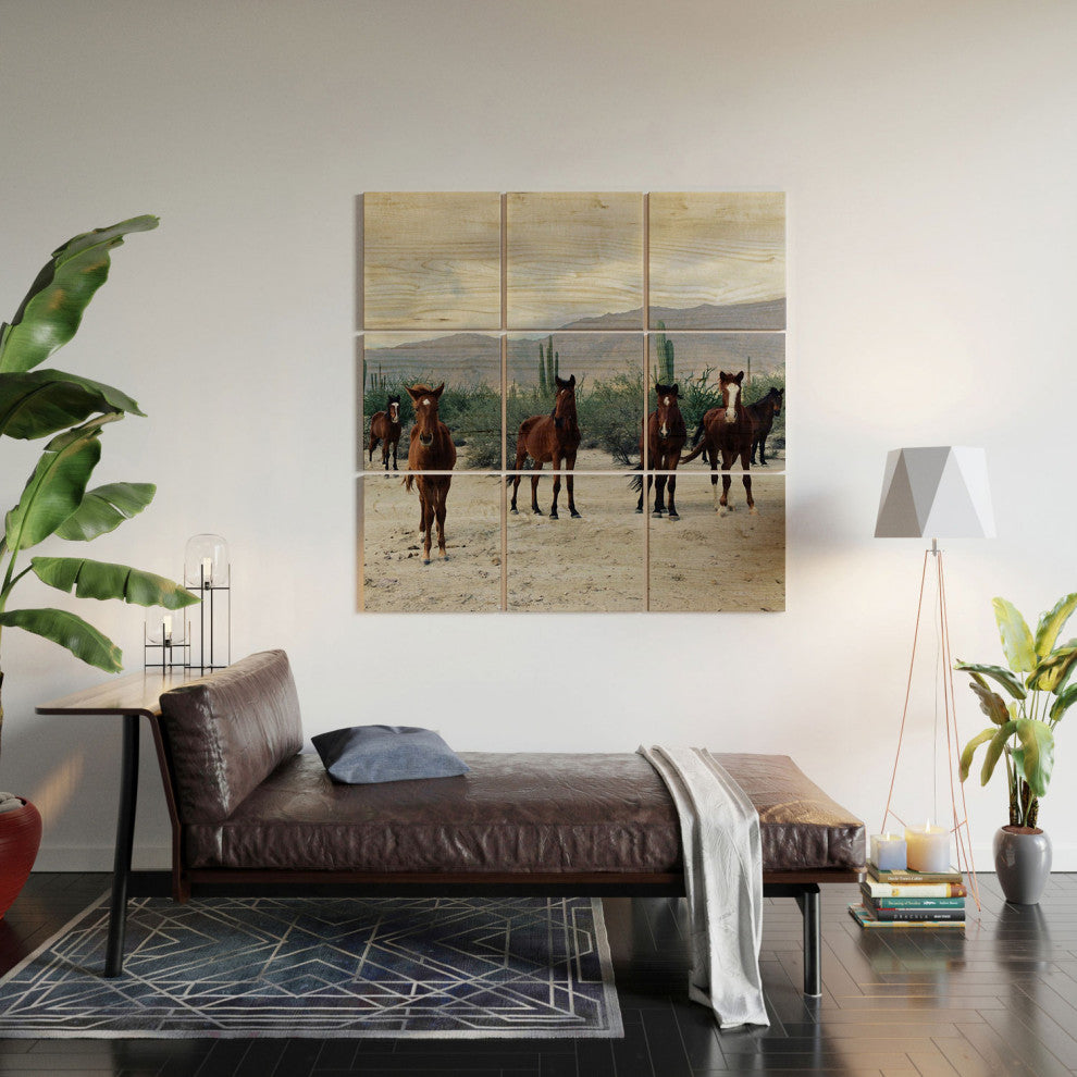 Kevin Russ Baha De Los Ngeles Wild Horses Wood Wall Mural