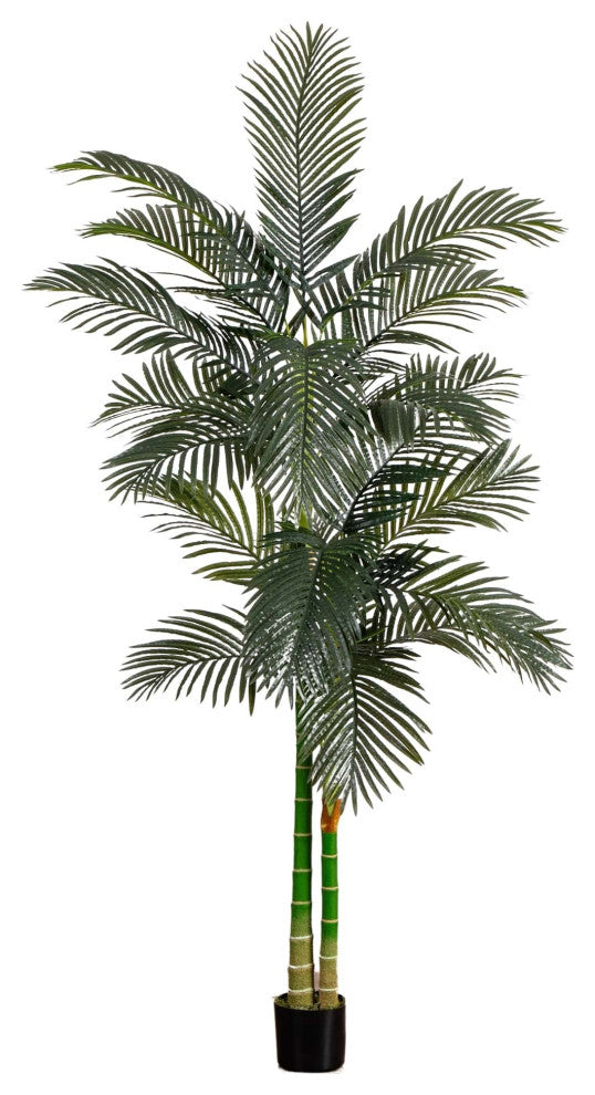 8' Golden Cane Palm Silk Tree