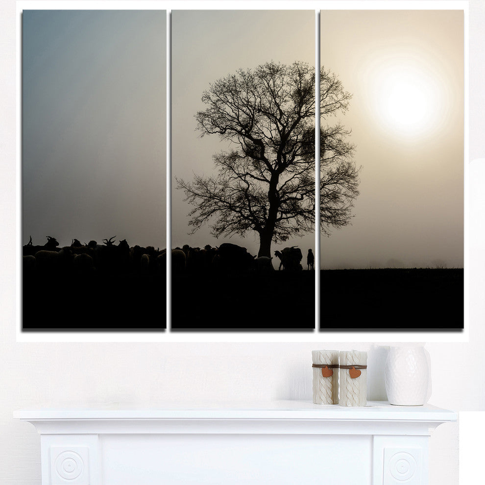 "Frosty Spring Morning Sunrise With Tree" Metal Wall Art, 3 Panels, 36"x28"