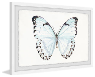 "Translucent Blue Wings" Framed Painting Print, 36"x24"