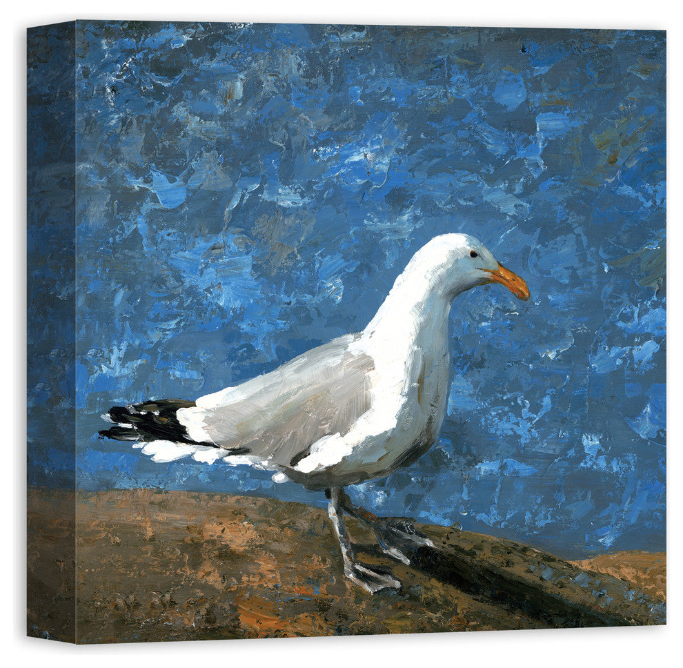 Painted Coastal Seagull 16x16 Canvas Wall Art