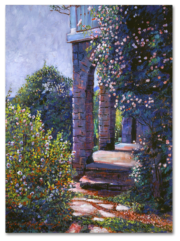 David Lloyd Glover 'Climbing Roses' Canvas Art, 35"x47"