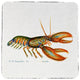 Live Lobster Coaster - 3 Sets of 4 (12 Total)