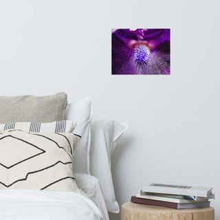 Eye of Iris Nature Photography, Floral Unframed Wall Art Print, 11" X 14"