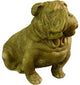 Brutus Bulldog 13 Garden Animal Statue