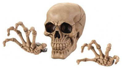 Skeleton Wall Decor Set