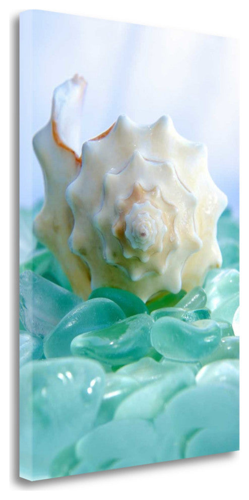 24" Conchshell and Blue Seaglass Giclee Wrap Canvas Wall Art