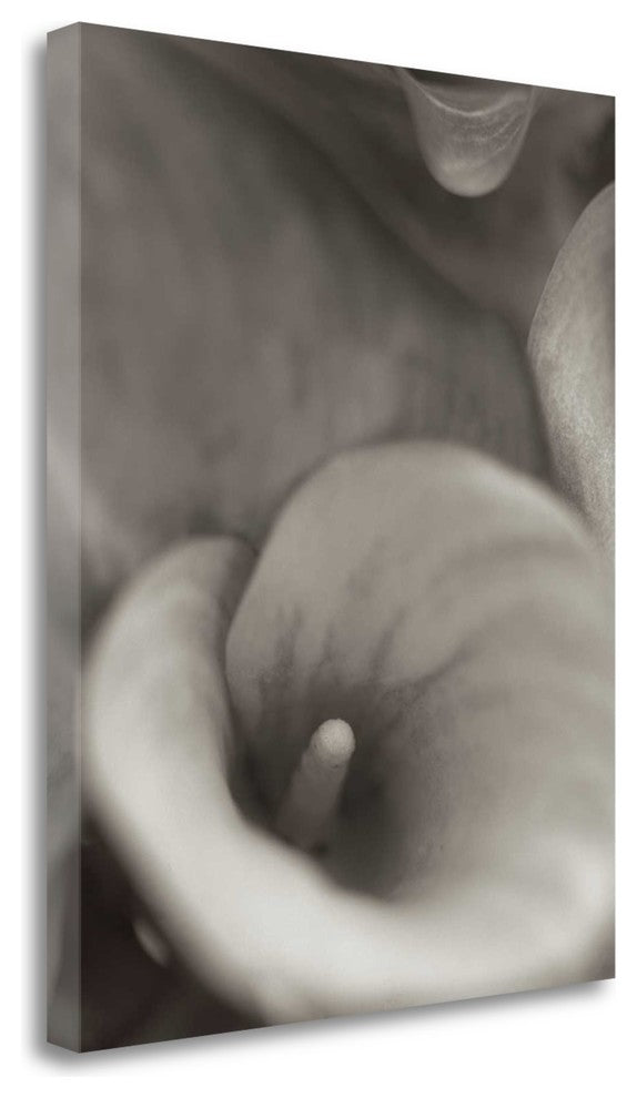 "Florison - 19" By Alan Blaustein, Giclee Print on Gallery Wrap Canvas