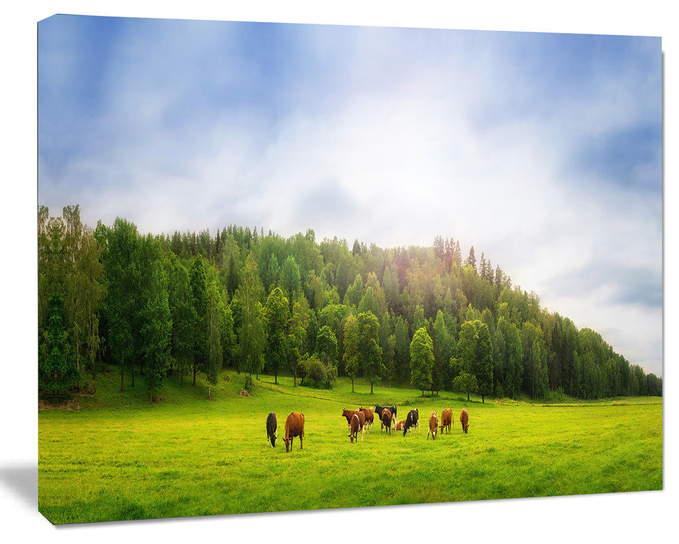Cows on Field Panorama, Landscape Canvas Art Print, 40"x30"