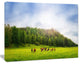 Cows on Field Panorama, Landscape Canvas Art Print, 40"x30"