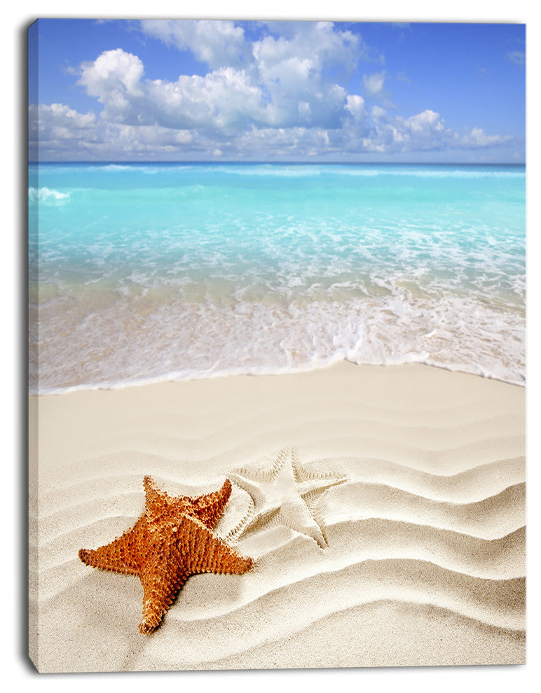Brown Starfish on Caribbean Beach, Seascape Canvas Art Print, 12"x20"