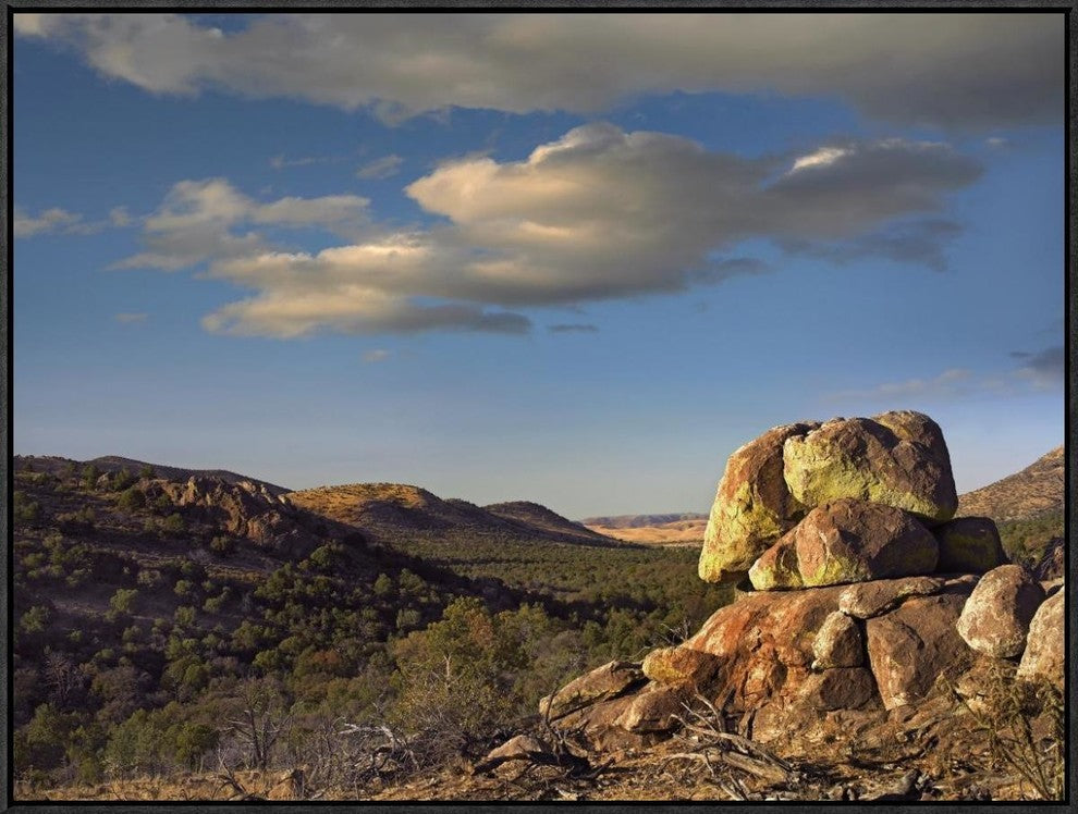 "Rockpile, Davis Mountains, Chihuahuan Desert, Texas"  by Tim Fitzharris, 33x25"