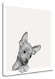 "Sweet Chihuahua" By Jon Bertelli, Giclee Print on Gallery Wrap Canvas
