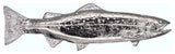 New Long Trout Right Face Cabinet Pull, Nickel