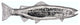 New Long Trout Right Face Cabinet Pull, Nickel