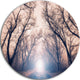 Mysterious Sunlight In Forest, Landscape Photo Round Wall Art, 23"